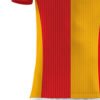 Premium Custom Soccer Jerseys at Bulk Wholesale | Trusted B2B Services - Image 4