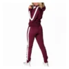 Women Customizable Terry Fleece Tracksuits – Plush Comfort in Every Piece - Image 2